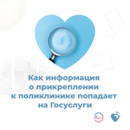 Информация о медицинской организации поступает на Госуслуги из фонда ОМС