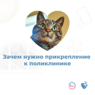 Прикрепиться к поликлинике следует, чтобы получать медицинскую помощь по ОМС в полном объёме